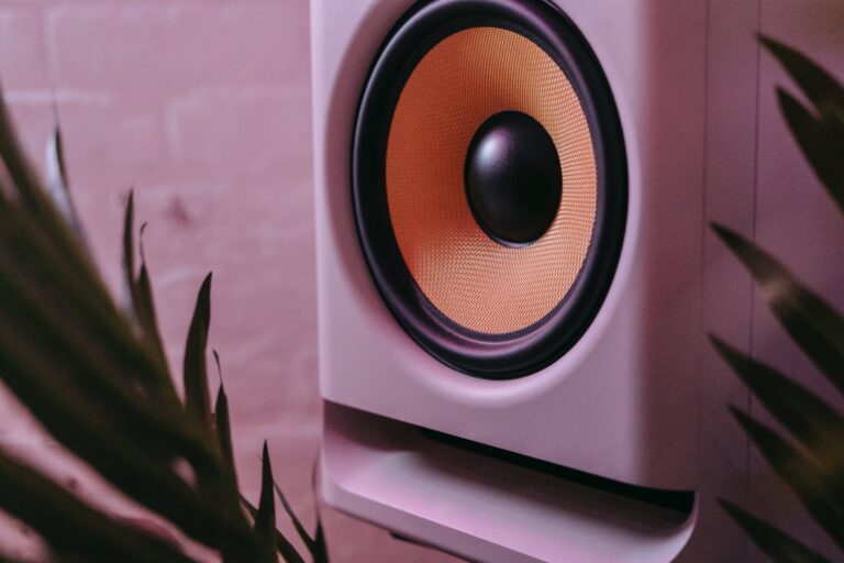 a close up shot of a subwoofer